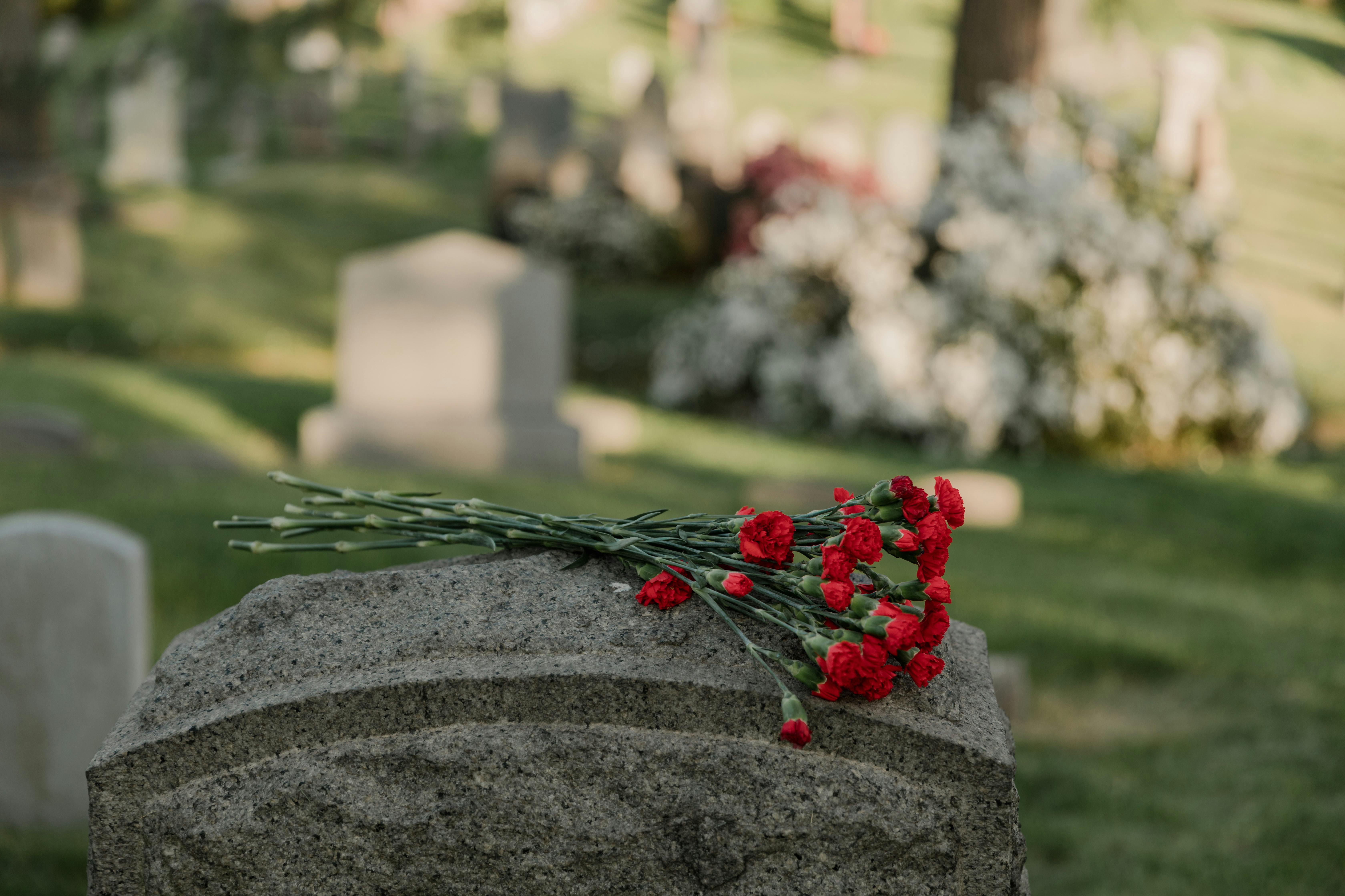 Red flowers on head stone