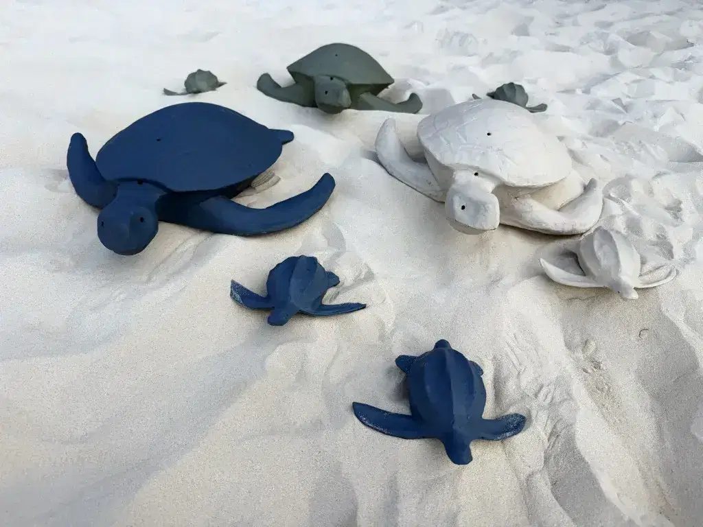 Mini-and-Large-All-Color-Turtles-on-Beach_08